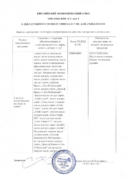 ds_tr_ts_ru_ra08_v_26242.pdf