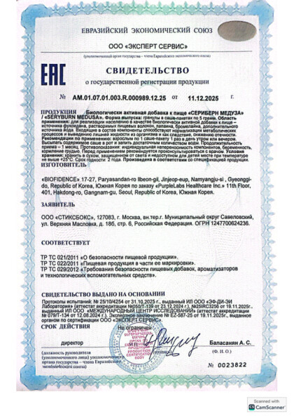 sgr_meduza.pdf