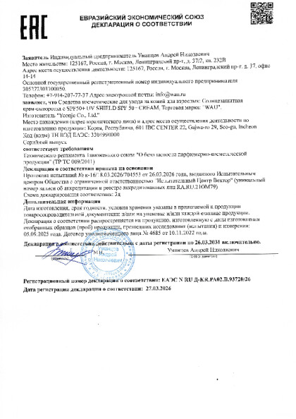 ds_spf.pdf