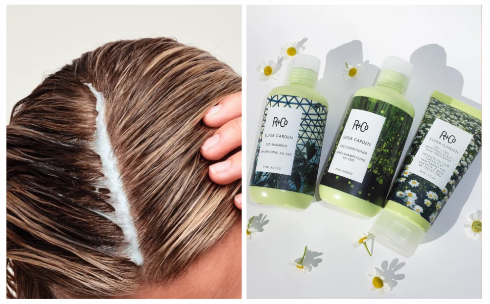 Сухая кожа головы – что делать? Причины, уход и лучшие шампуни