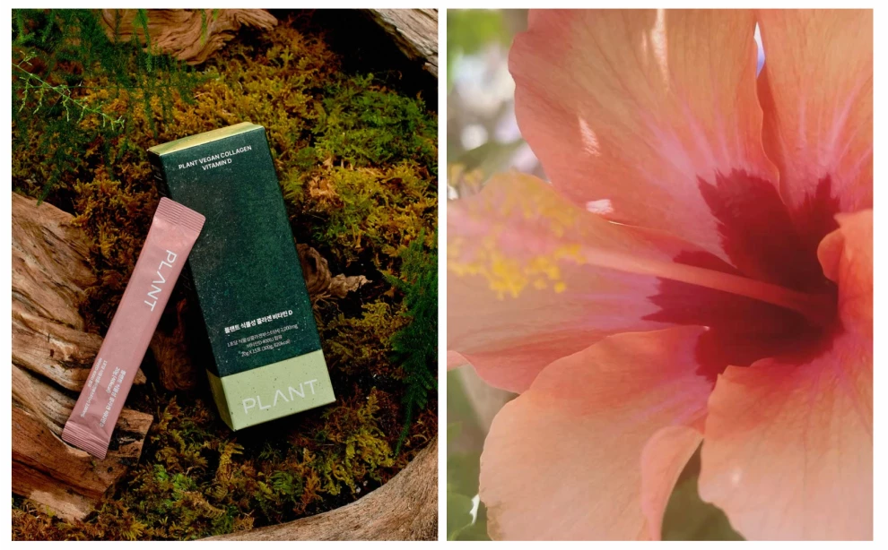 растительный коллаген, веганский коллаген, plant, растительный коллаген из гибискуса, коллаген в стиках, купить