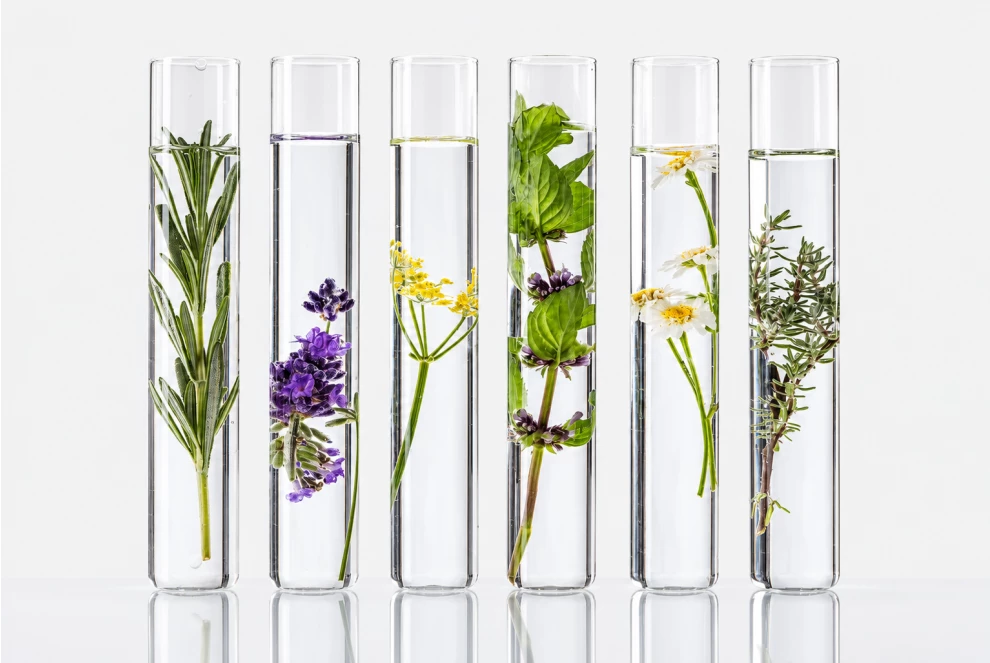 Стволовые клетки в косметике: революция в омоложении кожи