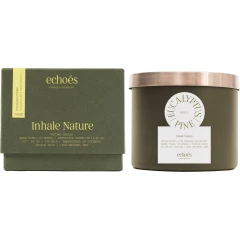 Большая свеча в стекле Eucalyptus & Pine