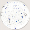 Шампунь Microcapsules 800 мл