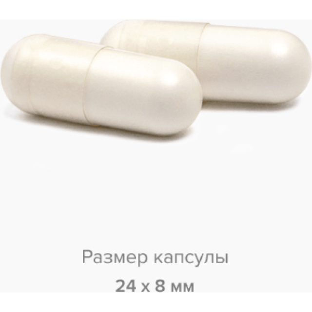 Добавка для восстановления с цинком, магнием, витамином B6 и экстрактом гинкго билоба - изображение 2