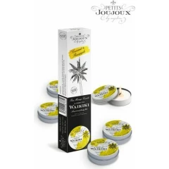 Набор из 5 свечей Petits JouJoux Waikiki Beach Refill пина колада