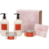 Бьюти бокс La Vie En Rose из 4х средств