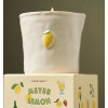 Средняя свеча в керамической банке Meyer Lemon 226 г