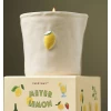 Средняя свеча в керамической банке Meyer Lemon 226 г