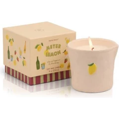 Средняя свеча в керамической банке Meyer Lemon 226 г