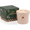 Средняя свеча в керамической банке Wild Mushroom 226 г