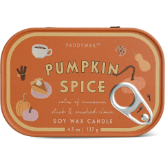 Средняя дорожная свеча Pumpkin Spice 127 г