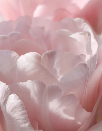 Макияж - изображение 1