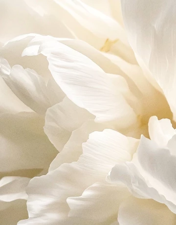 Уход за лицом - изображение 2