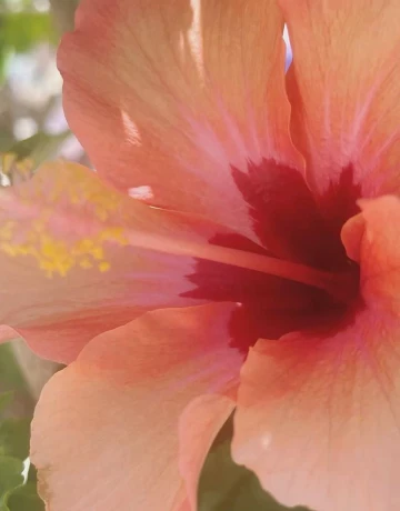 Здоровье - изображение 2