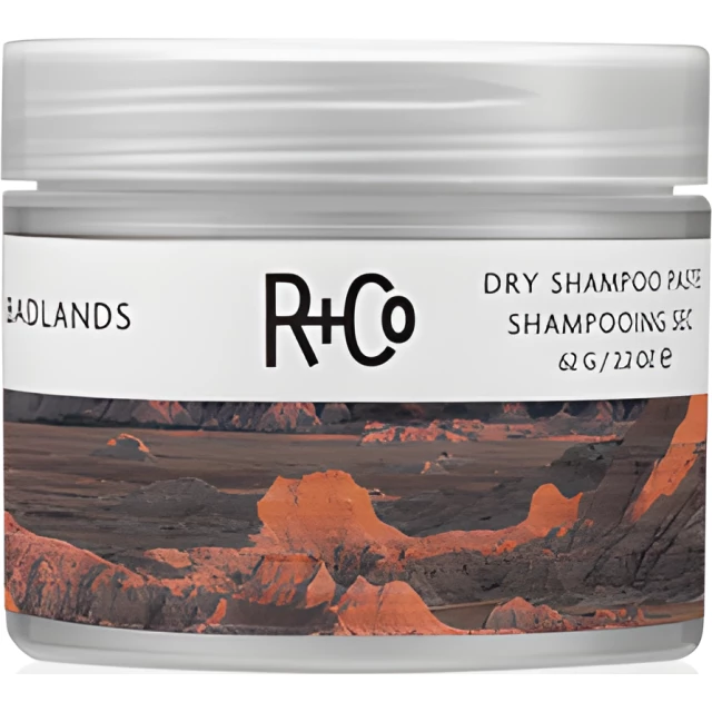 Dry shampoo paste. R co сухой шампунь паста. R+co Badlands Dry Shampoo паста. R+co cухой шампунь-паста «Badlands». Badlands r+co сухой шампунь.