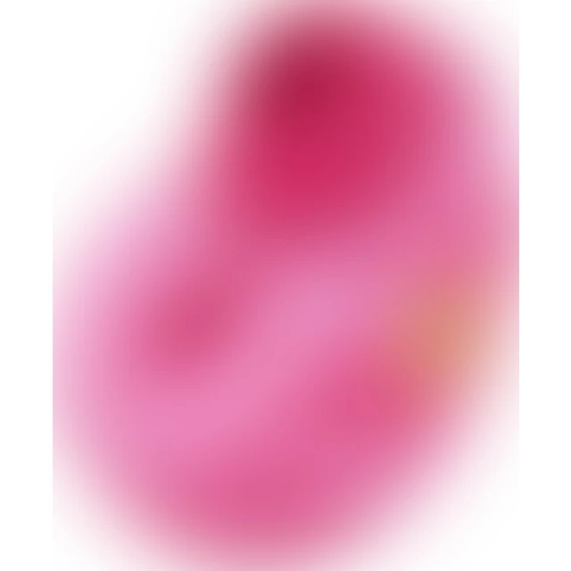 Бесконтактный клиторальный стимулятор Romp Spin - изображение 2