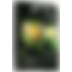 Возбуждающий гель для влюбленных Lotus Noir