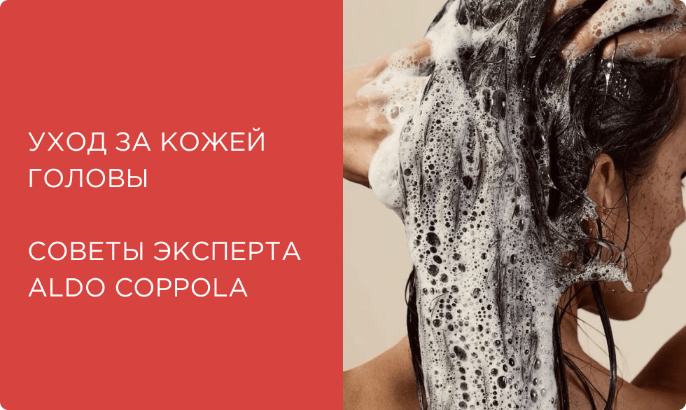 Как ухаживать за кожей головы? Советы по выбору шампуня от эксперта Aldo Coppola