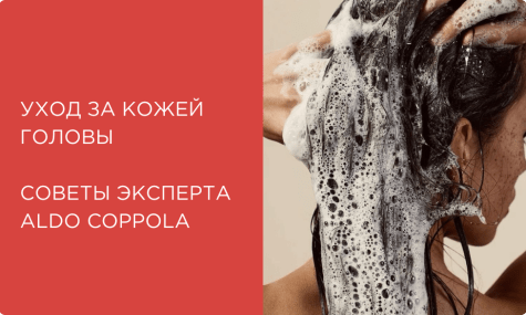 Как ухаживать за кожей головы? Советы по выбору шампуня от эксперта Aldo Coppola