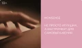 Monsense: не просто игрушки, а инструмент для самовыражения
