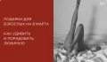 Подарки для взрослых на 8 марта: как удивить и порадовать любимую