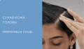Сухая кожа головы – что делать? Причины, уход и лучшие шампуни