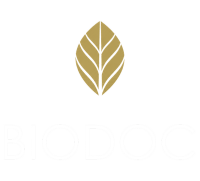 Новинка в МильФей logo
