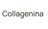 Collagenina