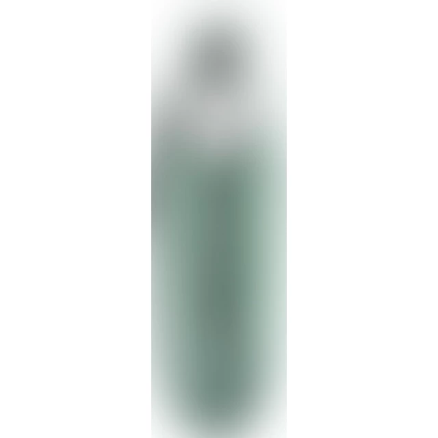 Бесконтактный клиторальный стимулятор Womanizer Pro, зеленый - изображение 3