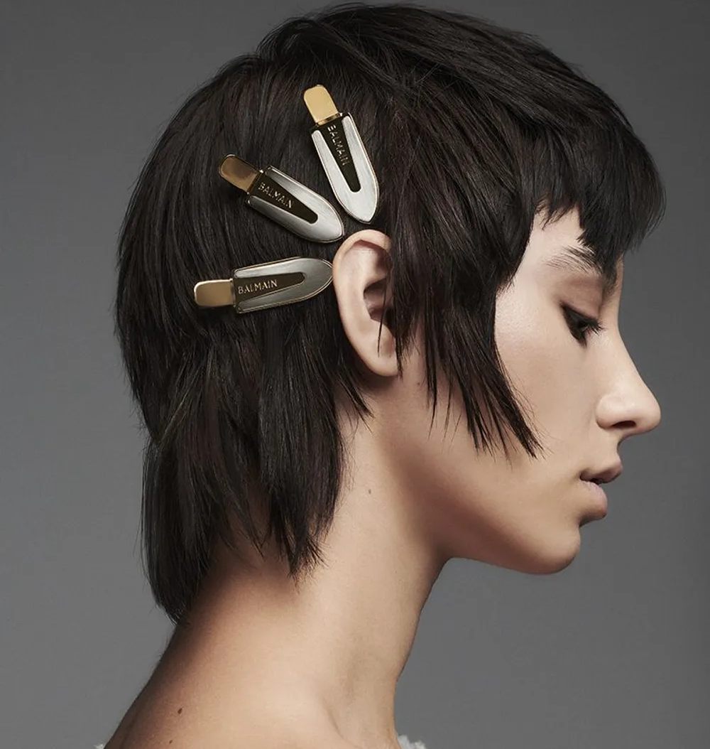 Купить заколку-клипсу FW23 (Limited Edition Backstage Clip Pour Cheveux ...