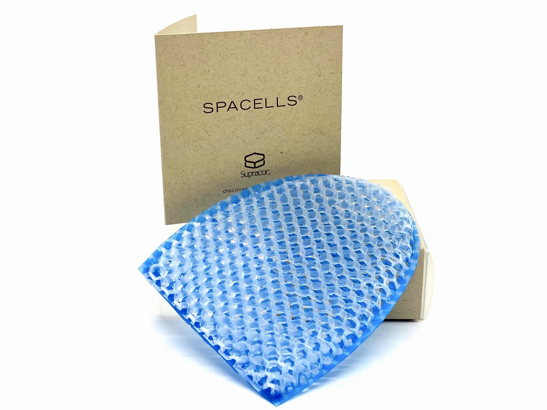 Купить Спонжик для лица, двухсторонний, цвет синий (SpaCells® Facial ...